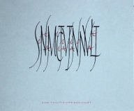 sine amicitia